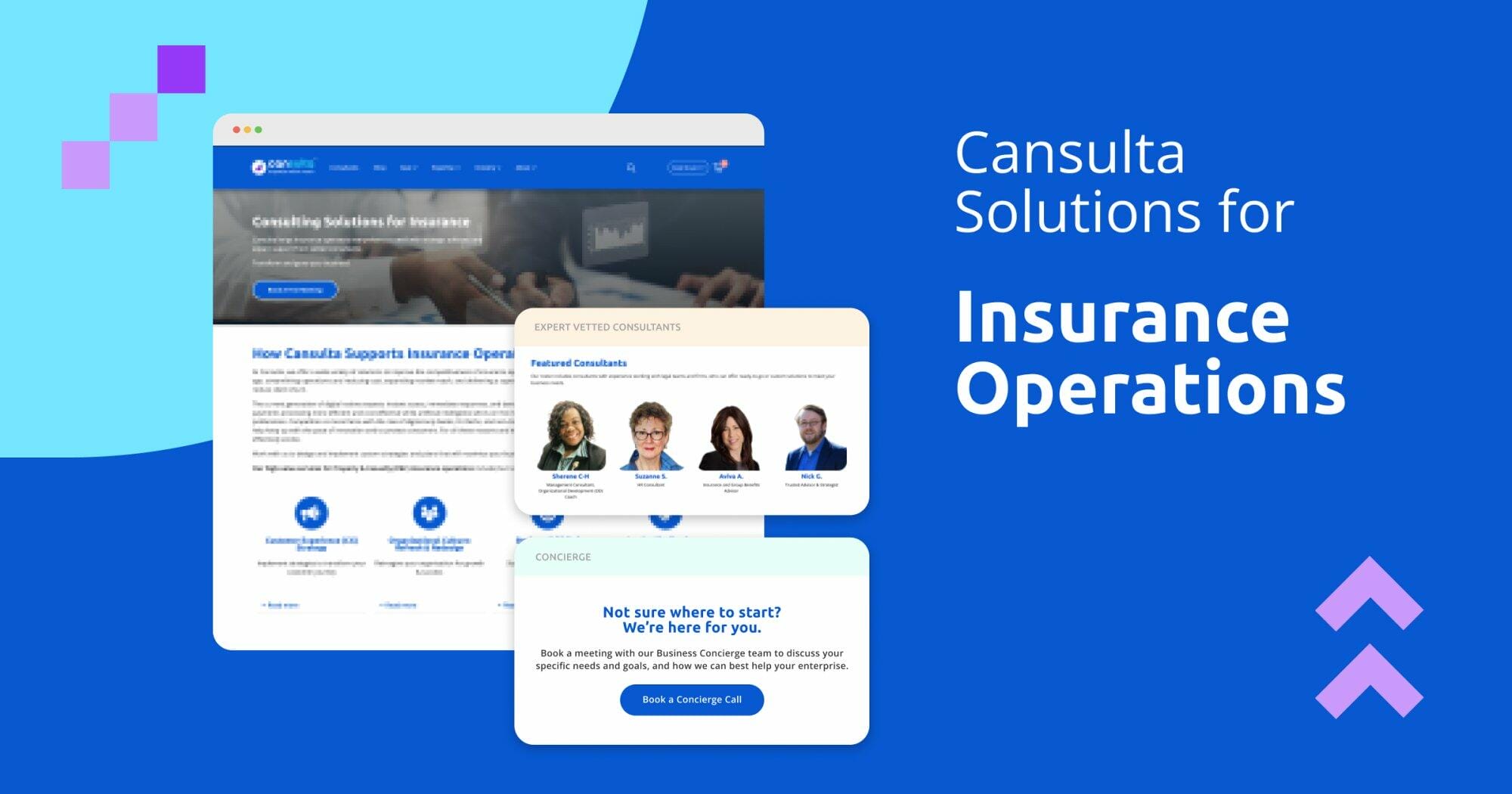 Consulting Services for Insurance Operations